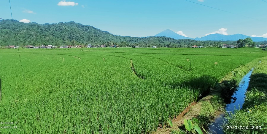 DESA PLOSOGADEN TOTO TITI TENTREM KERTO RAHARJO GEMAH RIPAH LOH JINAWI